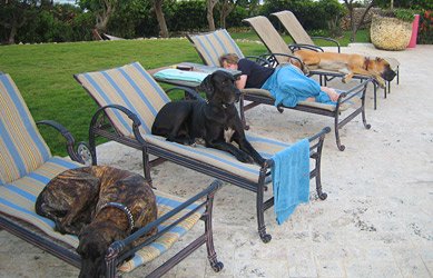 Dominican Republic Villa Review