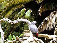 Ecotourism