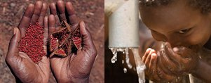 5 Ways to Save the World