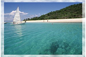 Carribean Life