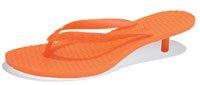 Flip Flop Top 5 Most Extravagant Fashion Accessories