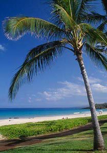 Hawaii