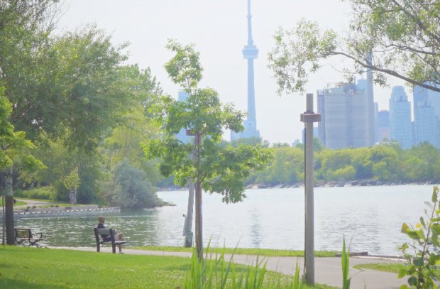 5 Great Reasons to Visit Toronto
