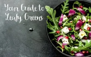 Your Guide to Leafy Greens - best healthiest leafy green